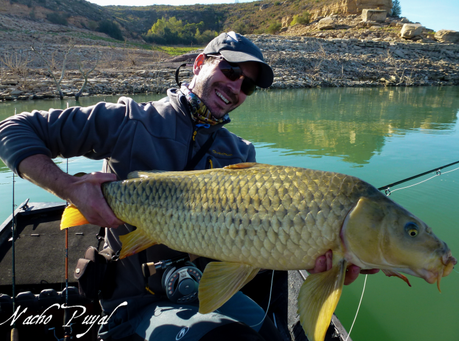 Nacho Puyal Nacho Puyal