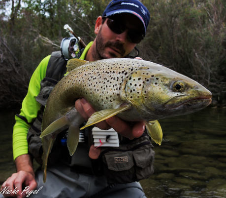 Nacho Puyal Nacho Puyal