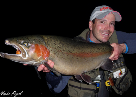 Nacho Puyal Nacho Puyal