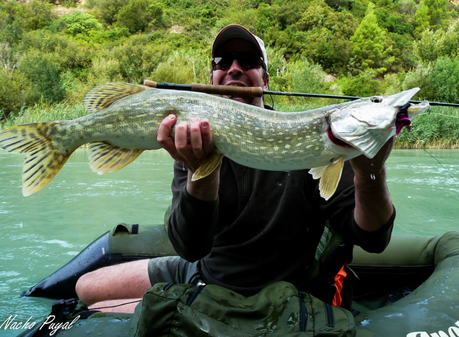 Nacho Puyal Nacho Puyal