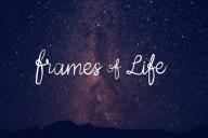 Frames of life : s’évader pendant 180 secondes Frames-of-Life3