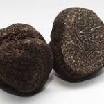 GASTRONOMIE: La Nuit de la Truffe! GASTRONOMIE: La Nuit de la Truffe!