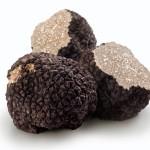 GASTRONOMIE: La Nuit de la Truffe! GASTRONOMIE: La Nuit de la Truffe!