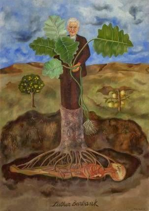 Kahlo Luther Burbank