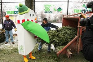 New York recycle ses sapins de Noël