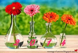 bonne année 2014 images--2-.jpg