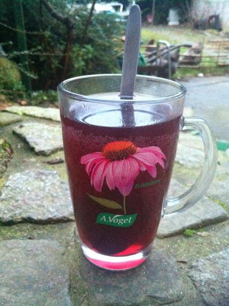 S'évader de l'hiver avec l'Echinacea purpurea d'A.Vogel. S'évader de l'hiver avec l'Echinacea purpurea d'A.Vogel.