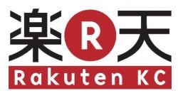 12 250x138 réseaux sociaux rakuten priceminister prévision 12 250x138 réseaux sociaux rakuten priceminister prévision