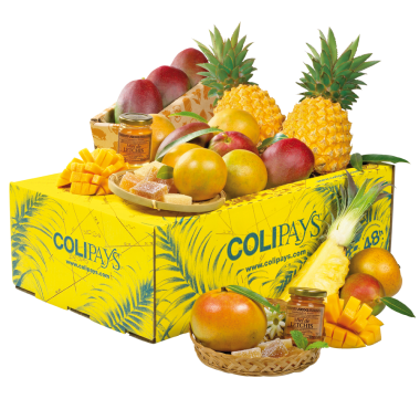 Colimangues Ananas 380x380