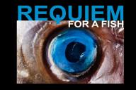 REQUIEM-FOR-A-FISH