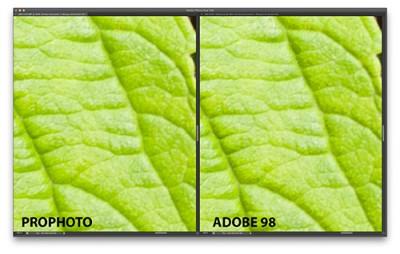 Retouche : comment choisir son espace de travail ? posterisation-2-ProPhoto-Adobe98