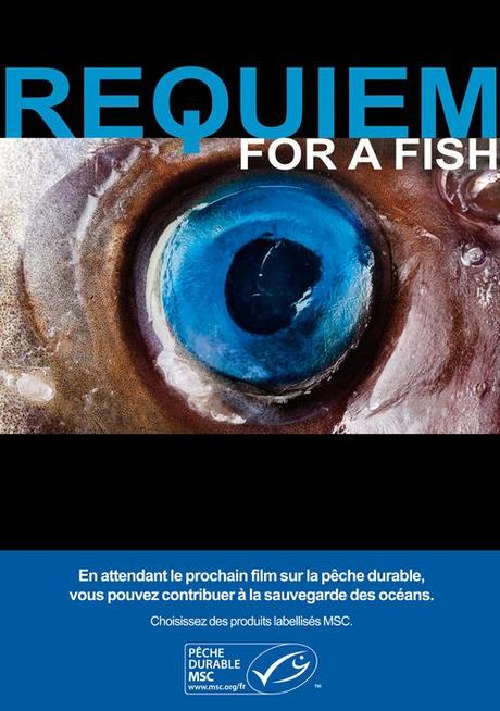 requiem for a fish Concours MSC : Des poissons à l’affiche des films pour promouvoir la pêche durable !