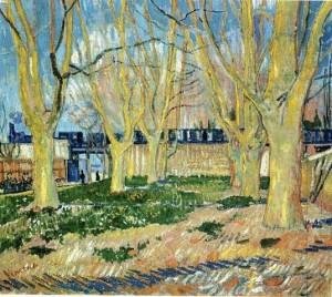 Que fait-on avec un arbre ? A 30 484795_10151920836828811_530785969_n