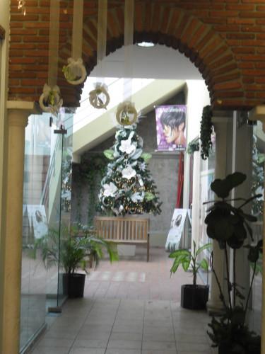 Sous le charme paseo comercial 2