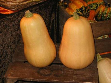 butternut