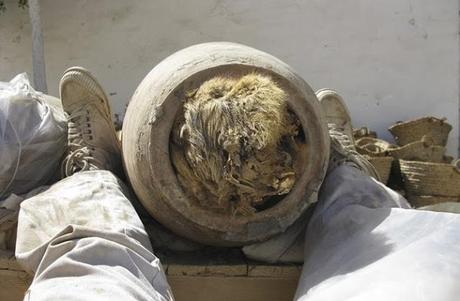 Des chiens découverts enterrés dans des pots en Egypte Des chiens découverts enterrés dans des pots en Egypte