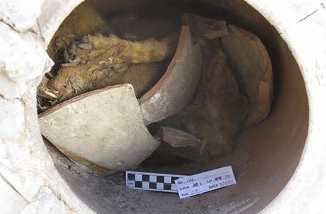 Des chiens découverts enterrés dans des pots en Egypte Des chiens découverts enterrés dans des pots en Egypte