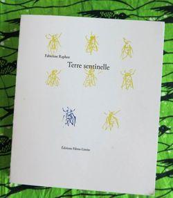 Fabienne Raphoz, Terre sentinelle, Éditions Héros-Limite, 2014. Terre sentinelle