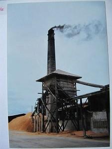 La Thaïlande - Bouddhas et singes La Thaïlande 133