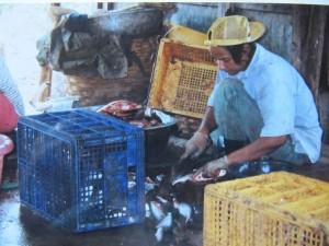 La Thaïlande - Bouddhas et singes La-Thailande_146-copie-1.JPG