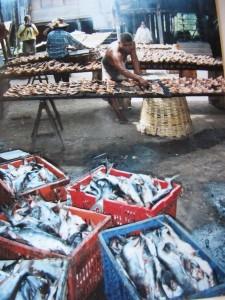 La Thaïlande - Bouddhas et singes La Thaïlande 147