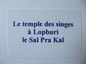 La Thaïlande - Bouddhas et singes La Thaïlande 143