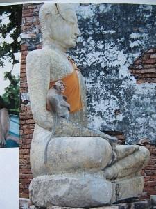 La Thaïlande - Bouddhas et singes La Thaïlande 142