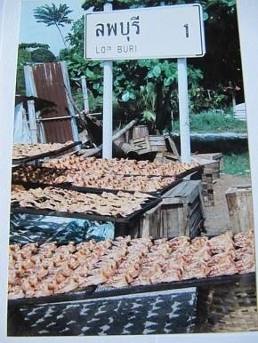 La Thaïlande - Bouddhas et singes La Thaïlande 144