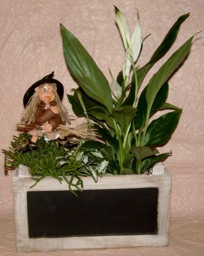 p'tite sorcière décorative à piquer DSCN5541