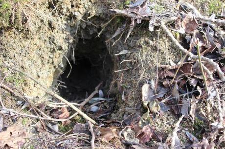 La garenne se déplace romi 18 janv 2014 035.jpg