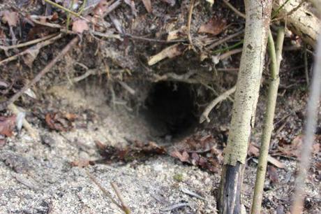 La garenne se déplace romi 18 janv 2014 032.jpg