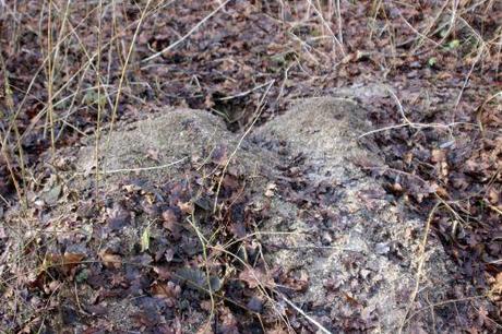 La garenne se déplace 1 romi 18 janv 2014 022.jpg