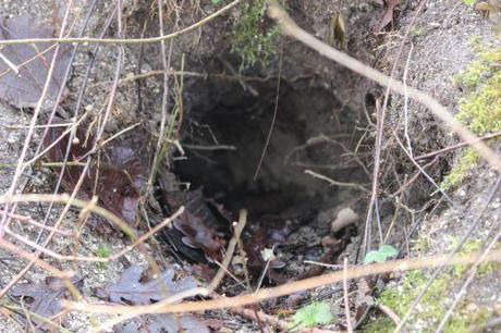 La garenne se déplace romi 18 janv 2014 030.jpg