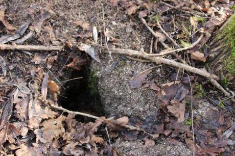 La garenne se déplace romi 18 janv 2014 034.jpg