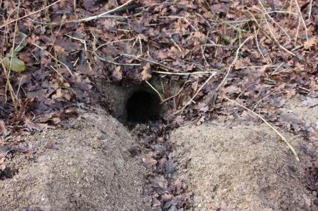 La garenne se déplace 3 romi 18 janv 2014 023.jpg