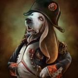 Animals From History – Christina Hess Animals From History Illustration