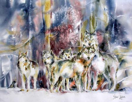 Les couleurs de Virginie, par Virginie Tanguay… La Meute