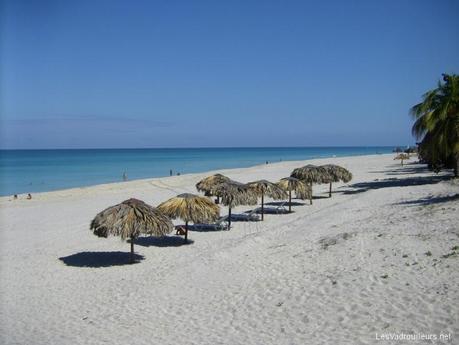 Un petit top 10 de belles plages sur nos destinations du monde Quend-Plage