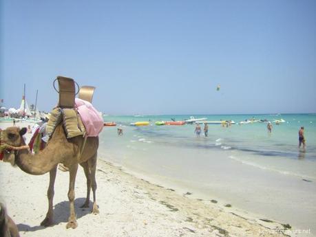 Un petit top 10 de belles plages sur nos destinations du monde Quend-Plage