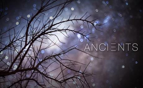 1461209_595067107209553_218986118_n « Ancients », la beauté céleste du désert d’Atacama