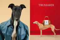 Trussardi-2014-dog-ad-01
