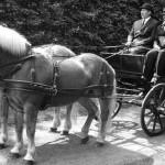 LE SAVIEZ VOUS ? : L’origine de se souhaiter bonne merde ! LE SAVIEZ VOUS ? : L’origine de se souhaiter bonne merde !