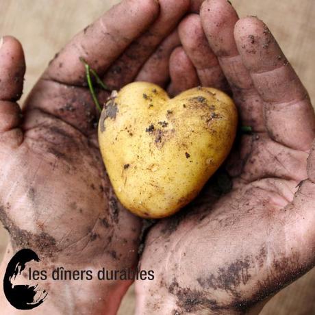 Les dîners durables s’invitent à la table Les dîners durables s’invitent à la table