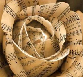 rose musique