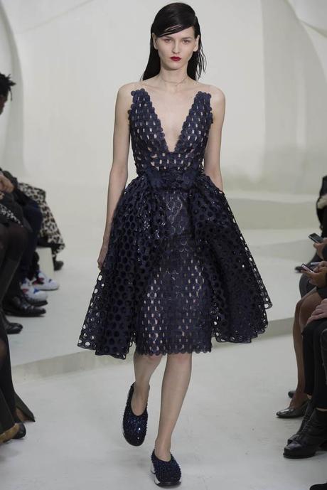 Haute Couture Spring 2014 : Dior Haute Couture Spring 2014 : Dior