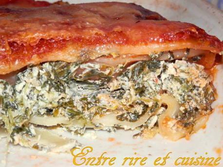 Cannelloni ricotta / épinards en gratin P1080125 sur Imagesia