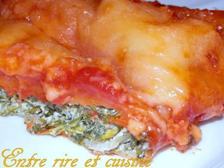 Cannelloni ricotta / épinards en gratin P1080124 sur Imagesia