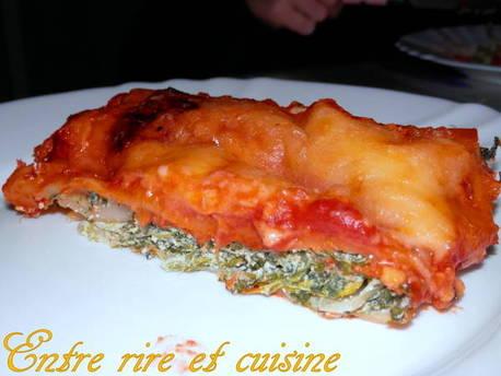 Cannelloni ricotta / épinards en gratin P1080123 sur Imagesia
