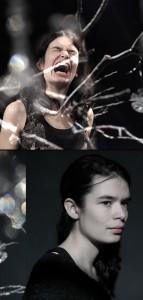 La jeune femme à la licorne La jeune femme à la licorne