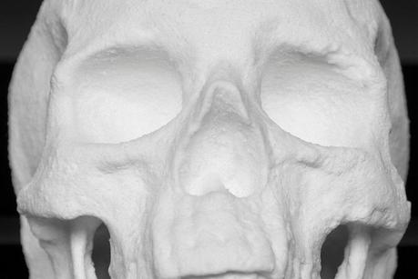 Ecce Animal – Diddo Ecce Animal 03